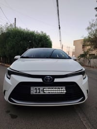 كورلا ليفن • هايبرد • ٢٠٢٤
