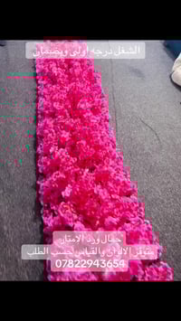 بغداد • ورد امتار • كوشات