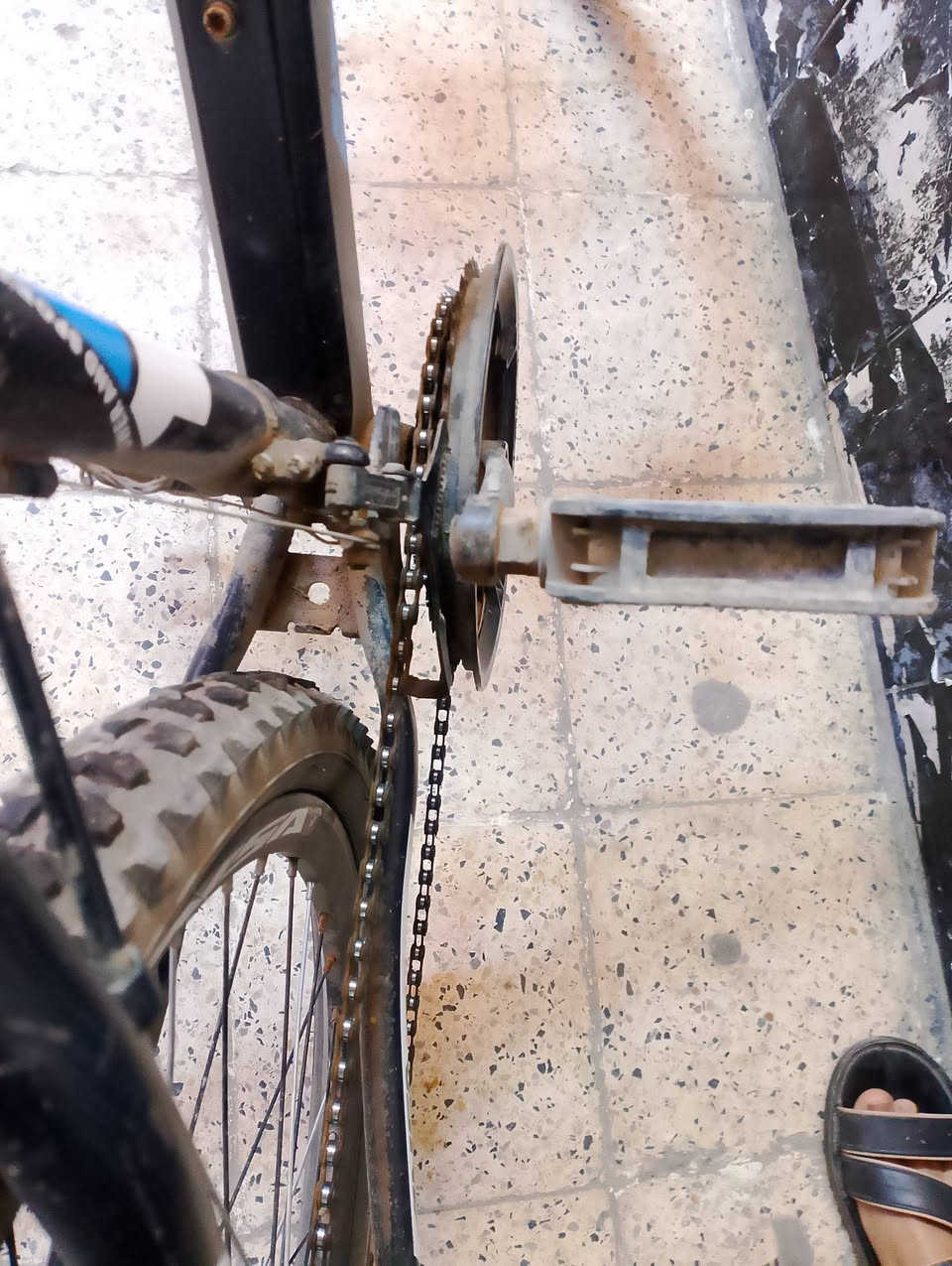 بايسكل نضيف حجم 26 كير الامامي وخلفي شغالين اسطاب الورة شغال الكدام يرادلو قمچه غير مصبوغ للتواصل على صفحة التيك توك msa8664h السعر 60 وبي مجال


**إذا كنت صاحب هذا الإعلان وتريد حذفه لأي سبب، رجاءا أرسل رسالة إلى الدعم الفني**