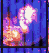 07515663014 07890150005