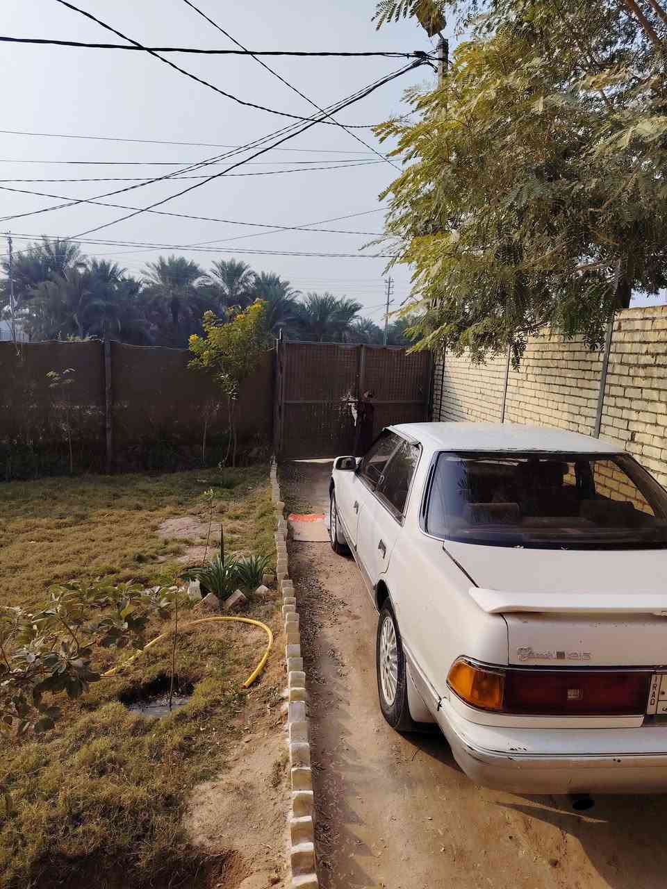 السلام عليكم مارك عضم مكفوله كفاله عامه مكان السيارة نجف عباسية تفاصيل أكثر ***********    السعر 38 وبيها مجال
