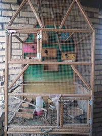 قفص طيور حب للبيع السعر : 50 وبي مجال الرقم : 07722705019 العنوان : بغ...