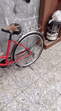 السلام عليكم بايسكل بناتي حجم 26 نضيف حيل مثل ماموضح الك بل فيديو مكاني بغداد السعر (80) وبي مجال
رقم الهاتف *********** متواجد عل فيس
