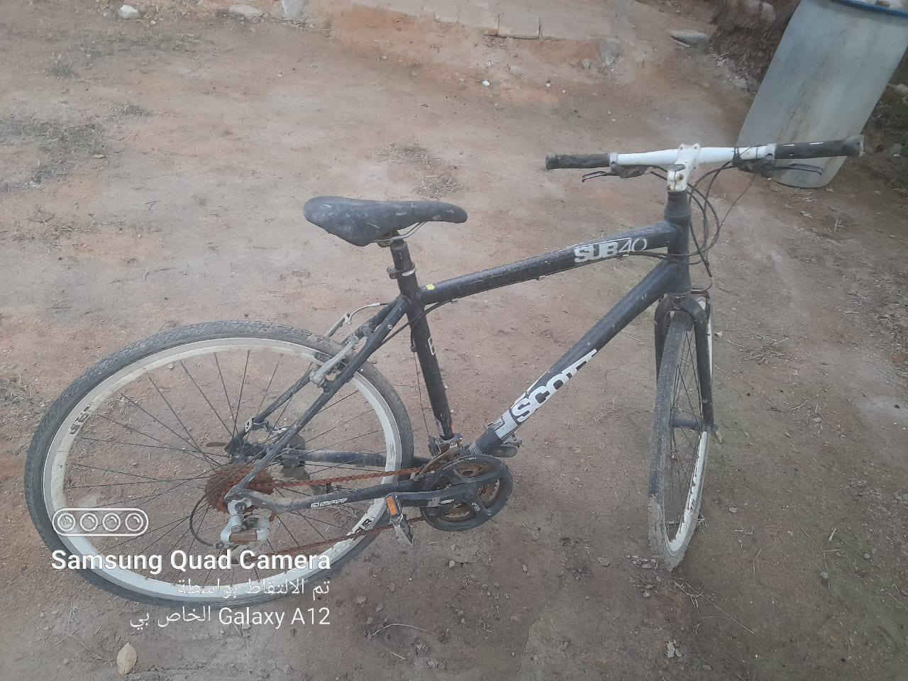 السلام عليكم 
بايسكل رياضي للبيع لسعر 100 آلاف مكاني كربلاء طويريج ( سياحي لدعوم )


**إذا كنت صاحب هذا الإعلان وتريد حذفه لأي سبب، رجاءا أرسل رسالة إلى الدعم الفني**