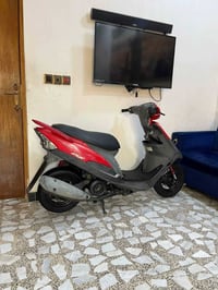 عدله • بلاد 49 • شيال راجع