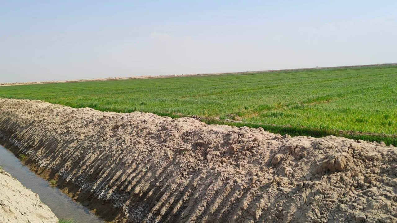 ارض زراعي للبيع 
ارض زراعية للبيع سند 35  خصبة جدا تقع على نهر المالح مباشرة  كما موضع في الفديو و الصور ولها بزل خاص بها على طول الارض معدله ليزر و الكاع خير من الله عنوان الارض جبلة قرية الصمود و تبعد عن مركز جبله نصف ساعه  سعر الدونم مليونين و نصف للتفاصيل الاتصال على  سبب البيع عدم التفرغ
***********
***********
