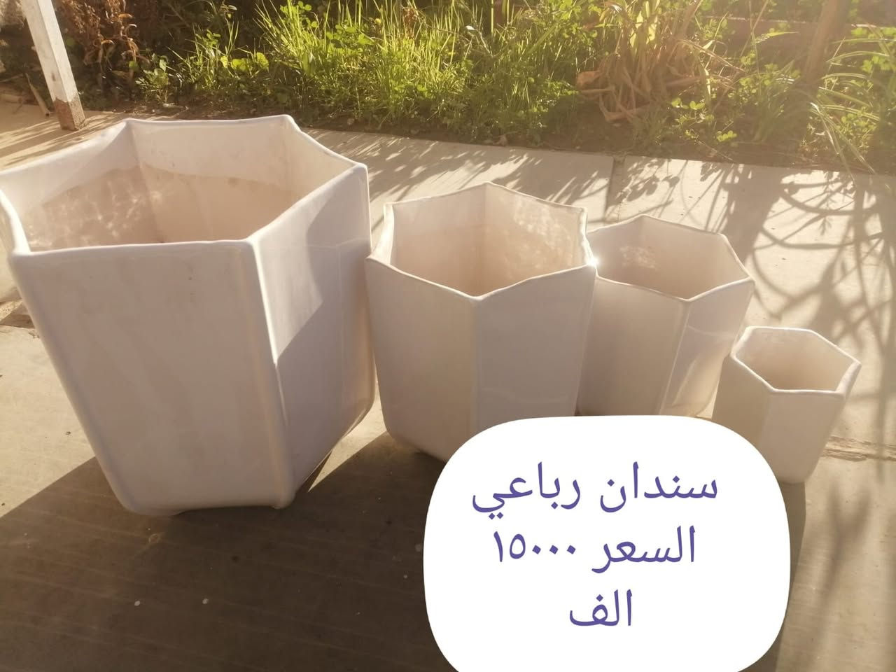 اللهم وكلتك أمري كلّه، فلا تكلني إلى نفسي طرفة عين.
مساء الخير 🌹تم وصول نباتات ضلية وسنادين وأسمدة وبتموس العنوان ابصاير قرب ملعب محمد سامي توصيل داخل هيت ١٠٠٠ 😭


**إذا كنت صاحب هذا الإعلان وتريد حذفه لأي سبب، رجاءا أرسل رسالة إلى الدعم الفني**