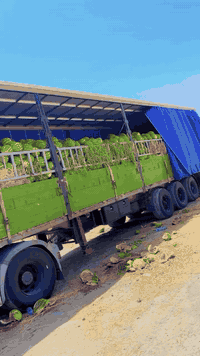 *********** ‏للبيع ￼
