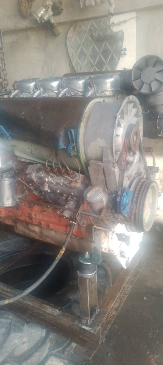 دويز ٤بستم الماني ابو الصاروخ راس توليد ٥٠كيفي اثري السعر ٢٨ ورقه اوبي مجال للشراي مكان ديالى بلدروز للاستفسار الاتصال بالرقم*********** واتساب***********
