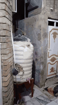 دار للبيع ملك
دار للبيع ملك طابو صرف مساحته ١٠٠ متر واجهة 5 نزال 20 +مطبخ جبير وترك واقع حال
 طابق الاول طرمه استقبال صاله حمامين غرفه
طابق ثاني غرفتين 
طابق ثالث بيتونه وسطحين 
ام الكبر والغزلان فرع افران الزهراء  
اي استفسار خاص او الاتصال ***********
