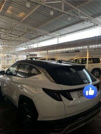 توكسان • ٢٠٢٥ • ٨٠٠٠ كم