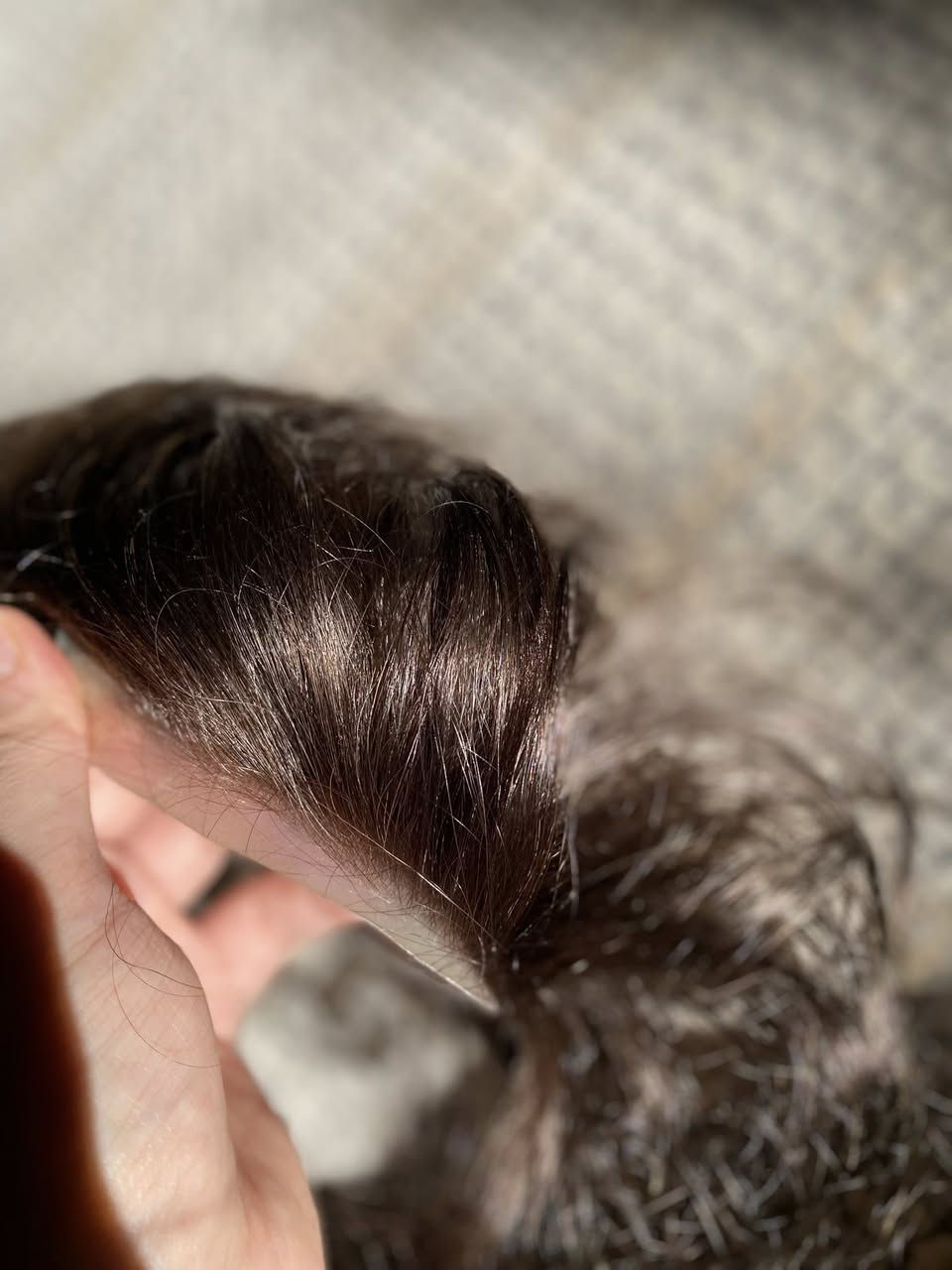 متوفرة شعر طبيعي سعرها 35


**إذا كنت صاحب هذا الإعلان وتريد حذفه لأي سبب، رجاءا أرسل رسالة إلى الدعم الفني**