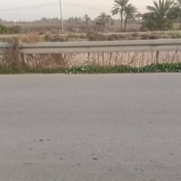 تصل على الرقم 07817784537