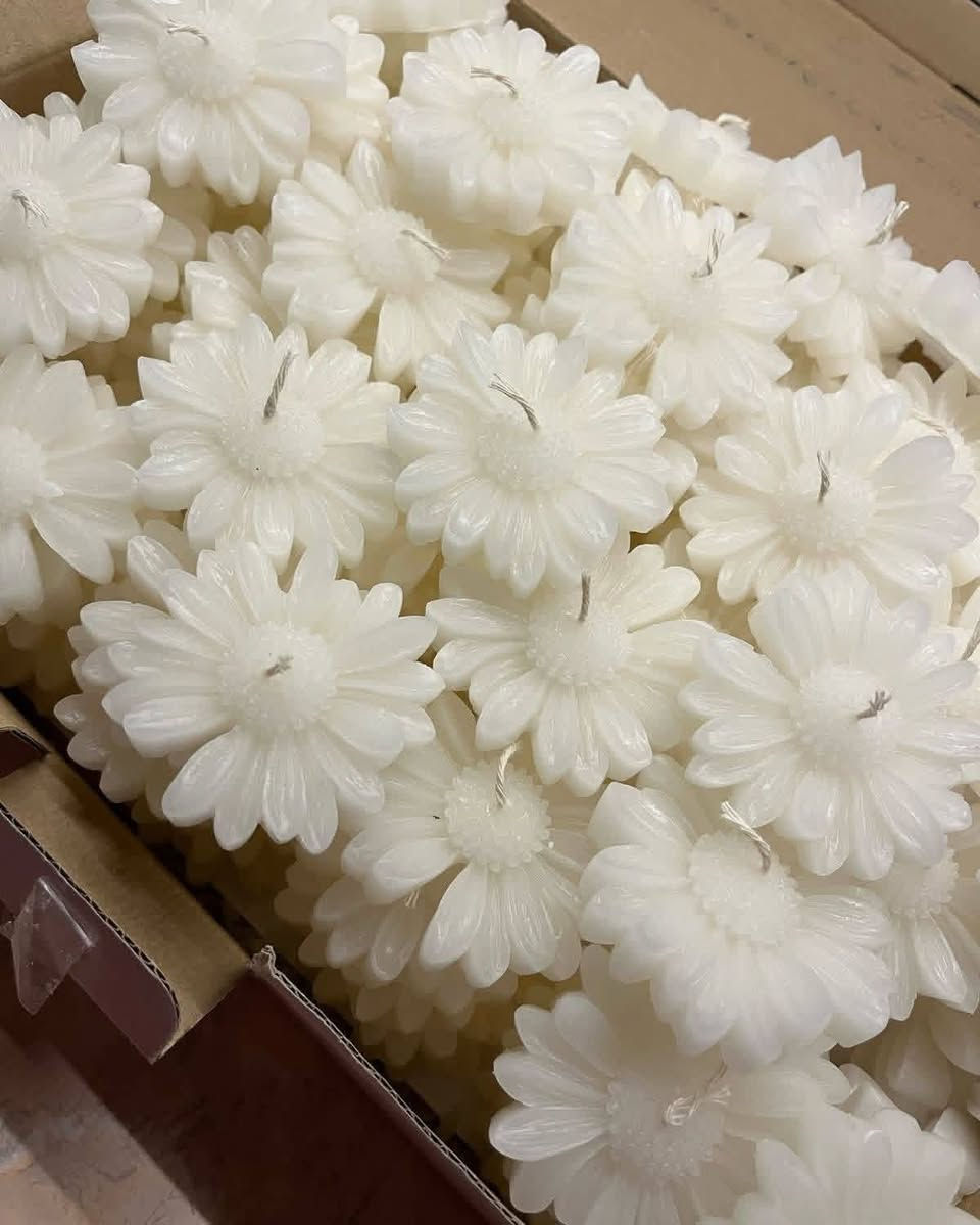 شموع لينار  🌟💫

 شموع معطرة على شكل وردة 💐🌸🌹

 بتفاصيل ناعمة ولمسة أنيقة🤗

 بتضيف جو دافئ وجميل لأي مكان💫 

🎁 مناسبة للتوزيعات – الهدايا – العزائم – الشركات
الشكل واللون والرائحة من اختياركم 

كل قطعة تنعمل بحب لحتى تكون مميزة وفريدة مثلكم🤗

  

 🚚 🚚التوصيل متوفر 

📩 استقبل استفساراتكم وطلباتكم على رسائل الصفحة 

#شموع
#توزيعات
#هدايا
#ديكور
#شموع_لينار
#فواحات


**إذا كنت صاحب هذا الإعلان وتريد حذفه لأي سبب، رجاءا أرسل رسالة إلى الدعم الفني**