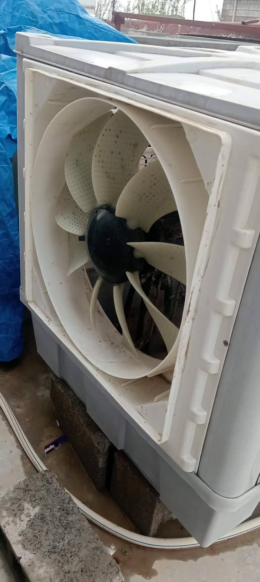 سلاو ......

موبەریدەی گەورە بلاسیک بۆ خانوی ٢٠٠م دەبیت  بەی عەیب بەشەرت دەفرۆشیت سیدسادق 

تۆش هەر کالایەکی مالت هەیە بنئرە بۆت دەفرۆشم


**إذا كنت صاحب هذا الإعلان وتريد حذفه لأي سبب، رجاءا أرسل رسالة إلى الدعم الفني**