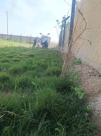 نص دونم • بسمايه قرار 117 • كهرباء تبليط