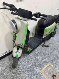 R11 • جديدة • الاصمعي الجديد