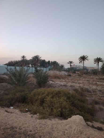 #أسعد الله أوقاتكم
اليوم عرض كلش #مميز_جايبلك_2000_متر
طابو صرف #عراقي يدخل اسمك سهم بالطابو
الواجهه 44 إنزال 46 عله نهر مباشر معه كافه #الخدمات #ماءكهرباء مدارس سناتر منطقه سكنيه متكاملة
السعر #المطلوب_305 مليون قابل للتفاوض
#الاستفسار اتصل ***********
