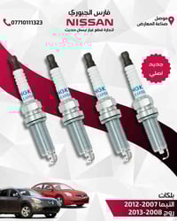 بلكات NGK • التيما ٢٠٠٧-٢٠١٢ • روج ٢٠٠٨-٢٠١٣