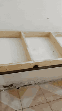 ميوزه مال مخضر للبيع نضيفات ومرتبات الشراي يتفضل خاص او يتصل 078288561...