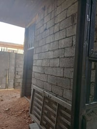 هيكل • ٥٠م • طابقين