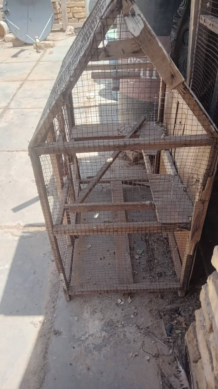 سلام عليكم
قفص مال طيور حب للبيع 
كلشي مابي بس رادله كاعيه ما بي اي كسر 
سعر 20وبي مجال حك الجيه


**إذا كنت صاحب هذا الإعلان وتريد حذفه لأي سبب، رجاءا أرسل رسالة إلى الدعم الفني**