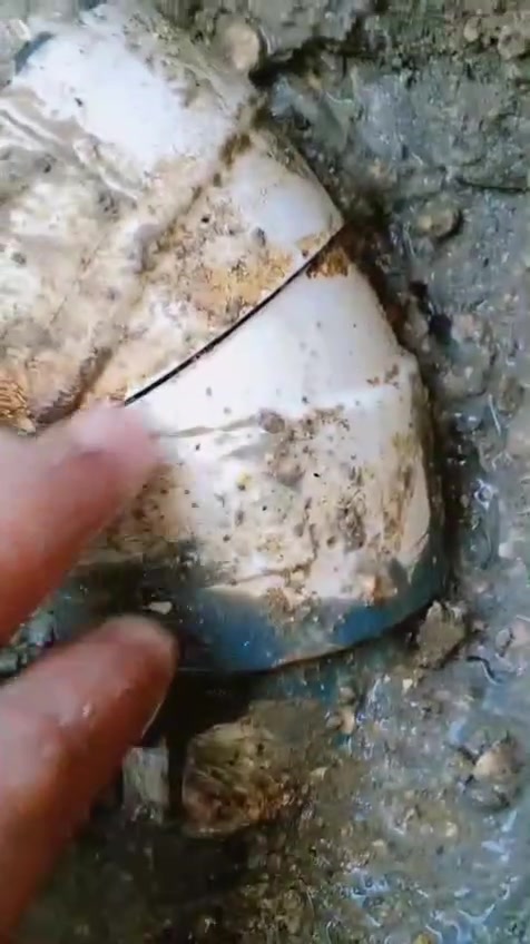 عندك رطوبة بالجدار؟ أو مي يطلع من الأرض؟
لا تنتظر… المشكلة تكبر وتكلفك تصليح غالي!

🔧 كشف تسريب المياه بأجهزة حديثة
❌ بدون تكسير
⚡ سرعة ودقة بالعمل

🎁 فحص أولي (حسب المنطقة)

📞 اتصل هسه واحجز موعدك:
*********** واتساب 
*********** واتساب 

📍 نغطي أغلب مناطق بغداد

#تسريب_مياه #كشف_تسريب #بغداد #صيانة #رطوبة
