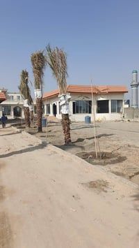 تشطيبات نهائية • تصميم وتنفيذ • الزبيليه