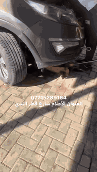 عروض صيانة ادامة حدادة تصفية المحرك ***********
العنوان الأعلام شارع قطر الندى
