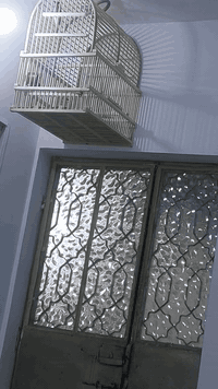 متاح عنوان مدينه الصدر ملاحظه بدون قفص وحشي اول عزلة 07700140344