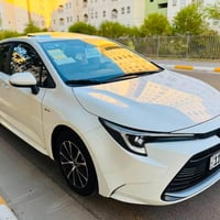 كورلا هايبرد • ٢٠٢٥ • كفالة عامه