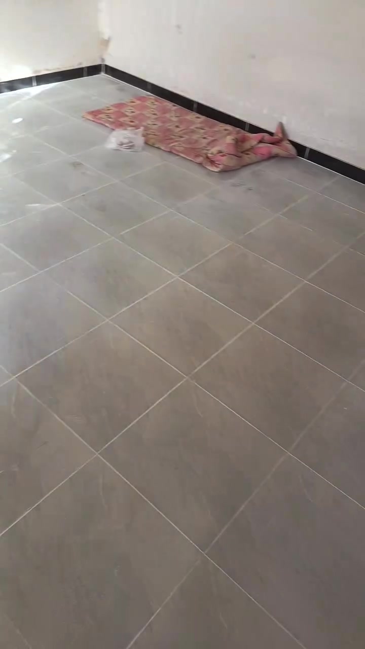 خلفه سراميك مصري درجه أوله اشتغل الواح بالماده والجميع انواع السراميك *********** شهدا البياع
