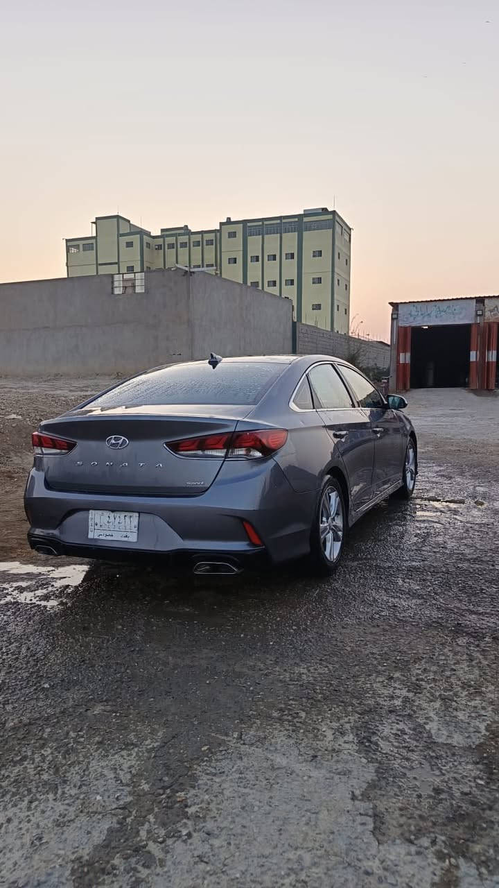 سوناتا 2019 سـبورت فول 1/1 وارد امريكي
صور  الحادث مرفق مع المنشور 

رقم بغداد 

🔺ماشيه:90 حقيقي 

🔺بصمة تشغيل

🔺بصمة ابواب

🔺بصمة جنطة

🔺فتحة سقف 

🔺شاشة كبيره كار بلي

🔺كامرة خلفية دوارة

🔺كشنات جلد اسود

🔺كشنات كهربائية

🔺كشنات امامية تدفئة 

🔺رادار جانبي بالمري

🔺اشاره ليد جوانب

🔺انارة ترحيب عند الاقتراب

🔺زينون عالي ناصي مع كشافات LED

🔺محرك 2400 GDi ( قطرة تبخير ماكو ولا تنقيص ولا مفتوح)

🔺 تحكم استيرن

🔺 شفتات استيرن

🔺 ثلاث انظمة قيادة

🔺 نظام سبورت ( وضع رياضي )

🔺 تدفئه ستيرن

🔺 مانع انزلاق

🔺 سستم نيكل كامل

🔺 ويل نيكل

🔺 تخم تاير جديد 

مكان السيارة قضاء النصر 

السعر 138 وبيها مجال بسيط 

للاستفسار ***********
