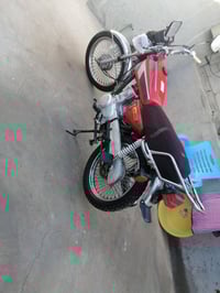 تايجر • ٢٠٢٠ • اوراق كاملة