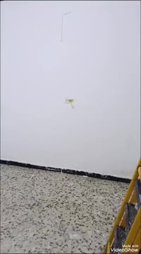 اخواني اخواتي الأعزاء.. مشتمل للايجار مساحة 50م طابقين.. يحتوي على است...