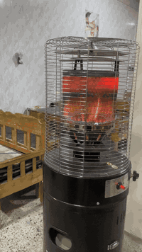 س ع
للبيع صوبه غاز مشتغل ١٢ يوم 
***********
