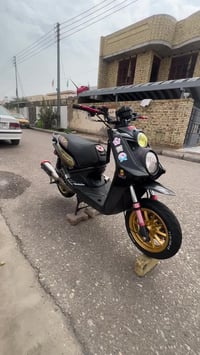 سكنس جبلي مزوعه تزويد البيع شوفت عينك سعر خاص وهاذ رقمي07707491737