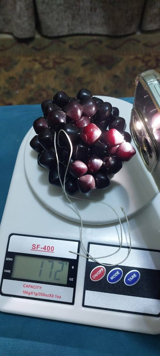 الفوتران العثمانى
٦٦ حبة
١٧٠ جرام
مطلوب
١٢ الف دولار
المهتم يتواصل خاص

@المتابعين ، @تحف وانتيكات  @ذهب الرجال 
@سبح
@ سبح الملوك


**إذا كنت صاحب هذا الإعلان وتريد حذفه لأي سبب، رجاءا أرسل رسالة إلى الدعم الفني**