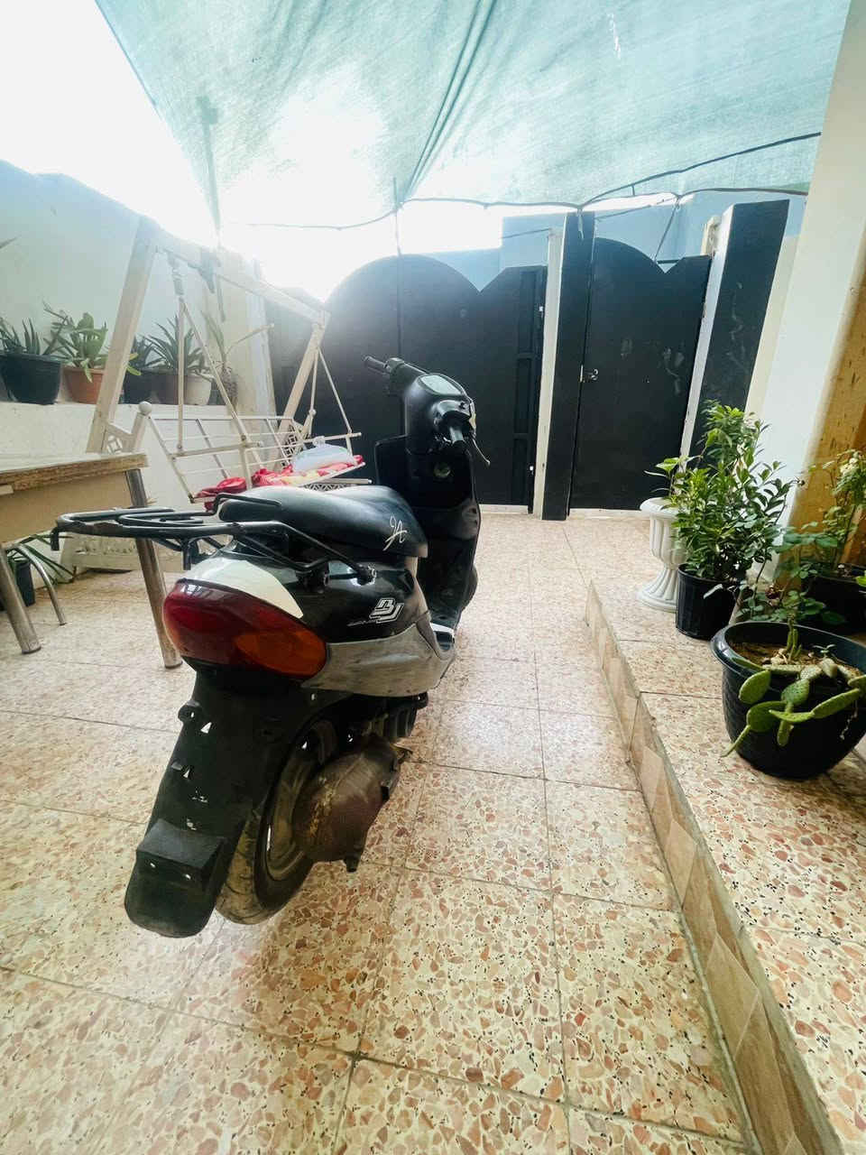 متاح بيجي نحلا 9 زروف
محرك معمر مره وحدا كصه 25 

لايت شغال 

اشاير شغالا 

سلف شغال 

محرك شرط لا اكسن ولا اي صوت 

فقط يوعزو تريشه يسار وباتري وقبق 

مكان موصل جانب الايمن حي الرفاعي

السعر 300 وبيها مجال قليل

يرهم مراوس حسب القناعه


**إذا كنت صاحب هذا الإعلان وتريد حذفه لأي سبب، رجاءا أرسل رسالة إلى الدعم الفني**