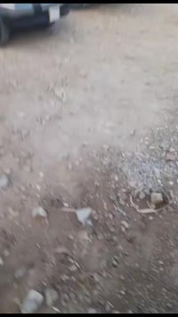 125 اريد يواصلني على هذا الرقم 07858234051 2001