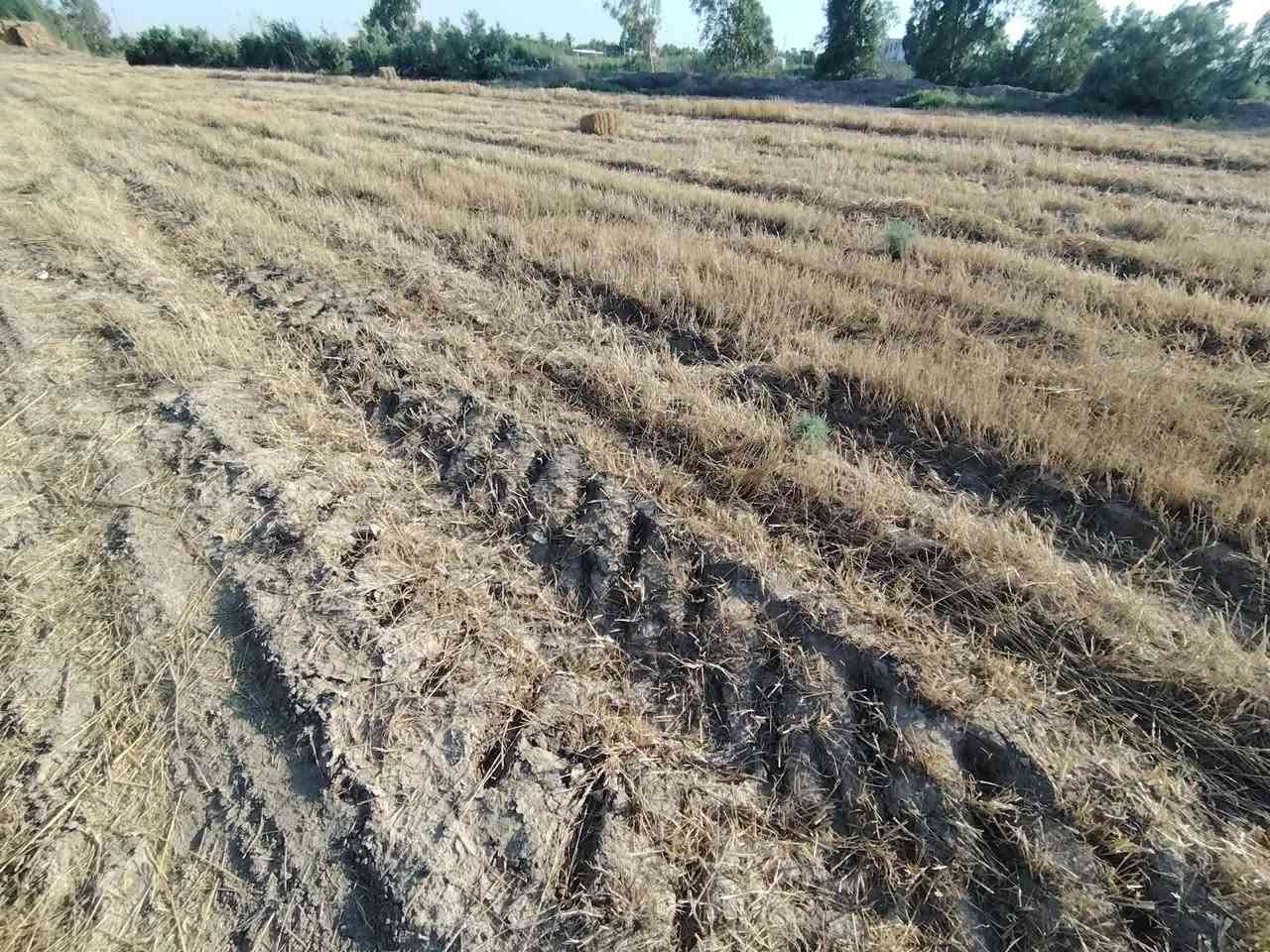 ٤دوانم للبيع كوت طريق عماره ميسان منطقة البيضاء طابو زراعي ١١٧قريبات جدأ ع شارع لهن شارع خاص بيهن خدمات ماء كهرباء مدارس حصه روائيه لهن يحتون ع 50نخله مثمره الارض حلوه وصالحه لزراعه سعر ل4دونم 45مليون وبيهن مجال بسيط جدأ


**إذا كنت صاحب هذا الإعلان وتريد حذفه لأي سبب، رجاءا أرسل رسالة إلى الدعم الفني**