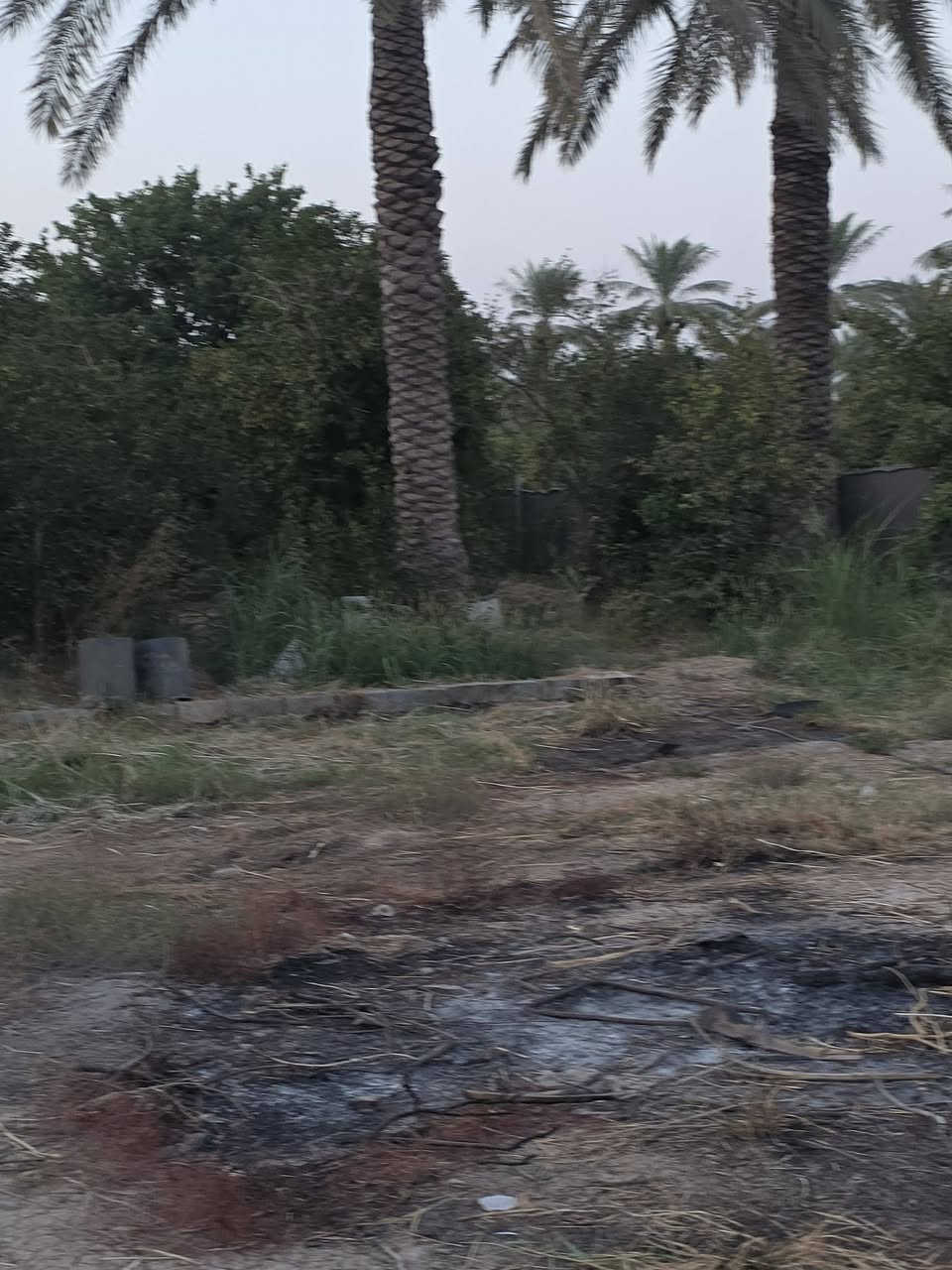 السلام عليكم ورحمة الله وبركاته 🫱🏽‍🫲🏻
بستان ملك صرف للبيع🏞 المساحة دونم ونصف مع زياده في البستان مايقارب الف متر  الواجهه20 ونص نزال 200
العنوان: شاطئ التاجي /مزرفه وحصيوه /مدخل الحصيوة 🛣/قرب جامع الفتاح العليم 🕌
للاستفسار الاتصال على الارقام الاتيه 
كورك: ***********📞📞
اسيا: ***********📞📞
#مكتب_ديرتنا_للعقار 🏢
#بإدارة_أحمد_ابومصطفى🌹
#تواصلوا_معنا💕
