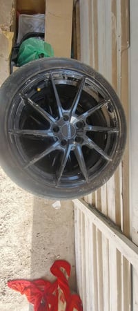 تخم ويل كب للبيع رقمي 07715189723