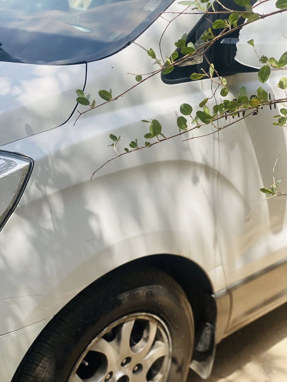 ستاركس 2014 مفتوح محور مسكر كير محرك منظومه تبريد مغلفه تنته وارضيه سياره بيها جاملغ عكس السايق مبدل سياره ماتصرف عليهه دينار سعرها 175$ ومكانهه بصره


**إذا كنت صاحب هذا الإعلان وتريد حذفه لأي سبب، رجاءا أرسل رسالة إلى الدعم الفني**