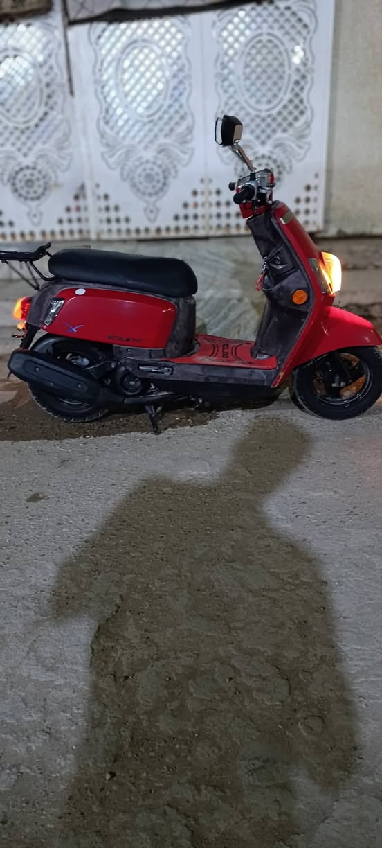 بوليس مسطره نوزل جديده كفاله عامه ماتعوبه ونضيفه معنه الاكلمه وراق منفيس سعرهه ٨٥٠ بيهه مجال


**إذا كنت صاحب هذا الإعلان وتريد حذفه لأي سبب، رجاءا أرسل رسالة إلى الدعم الفني**