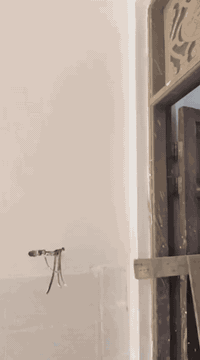 جص وبورك ولبخ التواصل ***********
