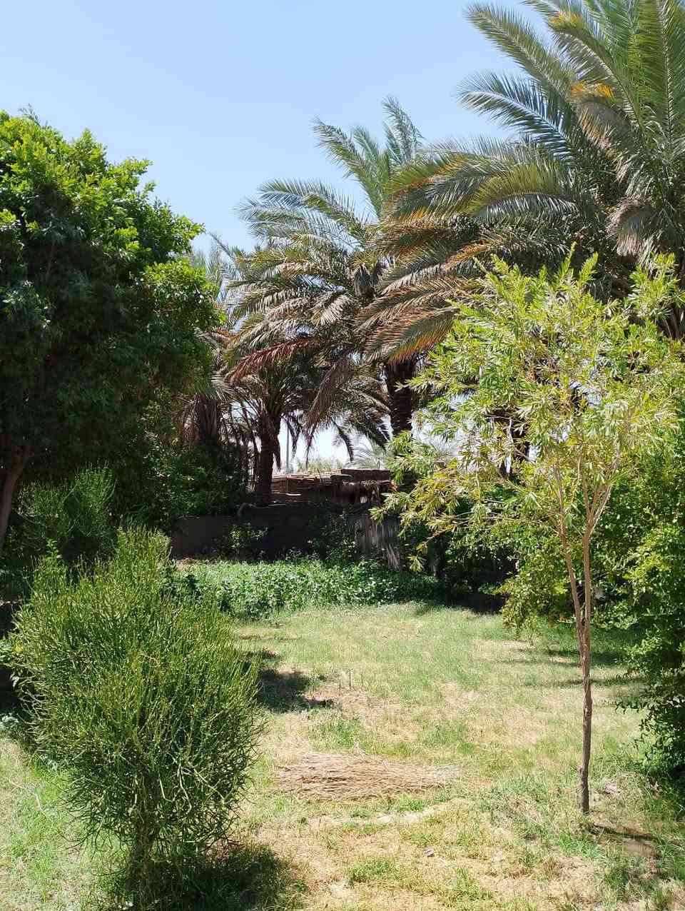 دار للبيع ..الجنس سند25 زراعي
فرصة خاصة لخدمة الحسين الي يحب يخدم كل ايام الزيارات بصف الشارع وخير من الله مساحته...

في البو شناوة المساحة 1000 متر يبعد عن الشارع الرئيسي حله ديوانية 50 متر فقط بيت كامل حديقة من كل جهاته 

جيران ذهب واصلا البو شناوة من المناطق الهادئة ومرتبين ناسها الشهاده للله..خدمات فووول من كل شيء مولد شارع مدارس اسواق ماء الإسالة فوول تبليط كل شيء درجة اولى ..

بيت الاخ ابو عباس قرب برج الاتصالات الي عل شارع. الحلة ديوانية..للمعلومات ابنك يروح للجامعة 500 دينار يركب 

يروح السوك الحله ب500 دينار يركب يروح للأطباء كذلك ب500 دينار يعني خدمات النقل اسهل وابسط مايكون تصير عندك تمطر ماتمطر انت بصف الشارع. فرصة حقيقة تملك هيج بيت ...للمعلومات أكثر الاتصال على الرقم

 *********** أبو عباس

210 وبي مجال
