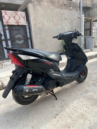 ثعلب • للبيع • واتساب