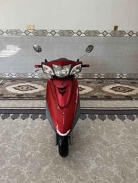 بغبغاء نوزل • زنون • بغداد الشعب