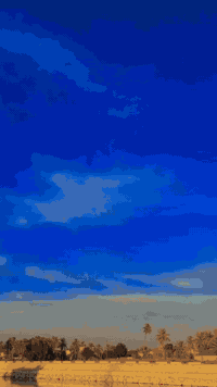 سلام عليكم دراجه نامه امتياز  2025سعر 675وبيه مجال او مراوس بسكنس فحل او ماكس عدله حلة جسر بته ***********1
